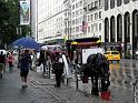 NY (146)